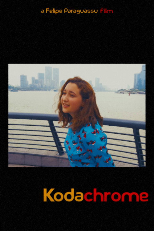 Movie poster for Kodachrome (2021)