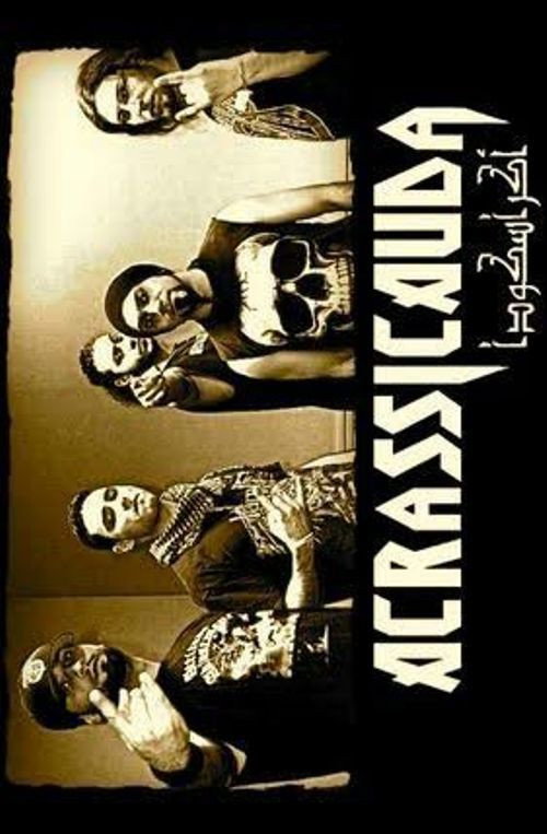 Movie poster for Heavy Metal in Istanbul (2008)
