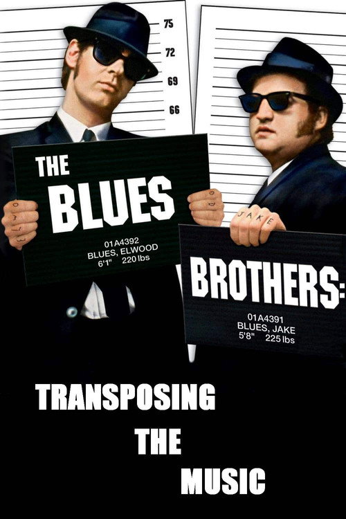 Movie poster for The Blues Brothers: Transposing The Music (2005)