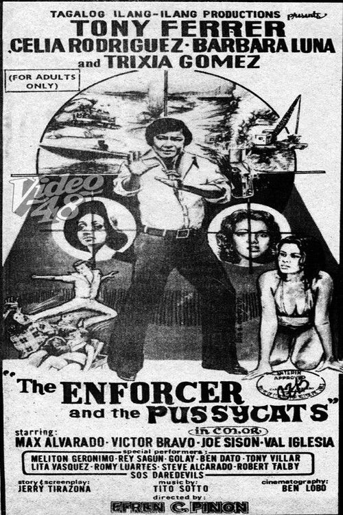Movie poster for The Enforcer and the Pussycats (1977)