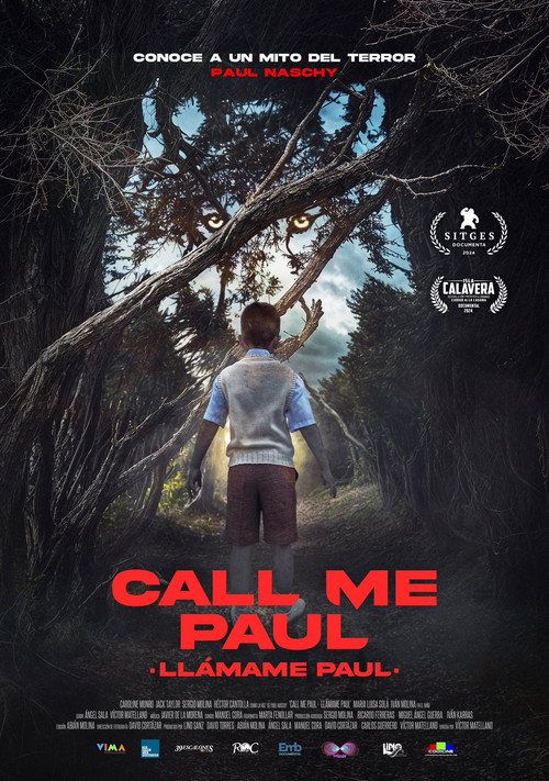 Movie poster for Call Me Paul (2024)