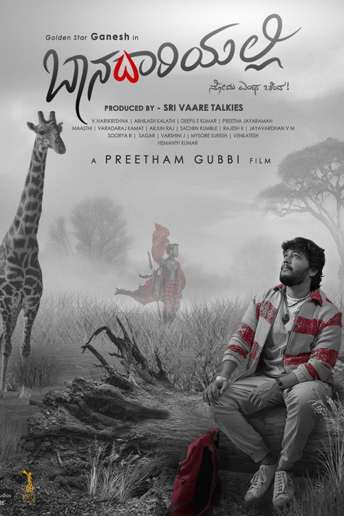Movie poster for Baanadariyalli (2023)