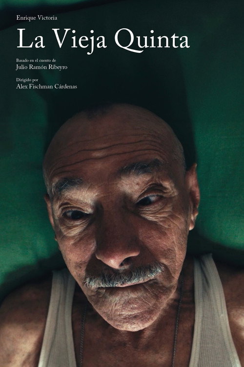 Movie poster for New Neighbors, Old Fights (2015)