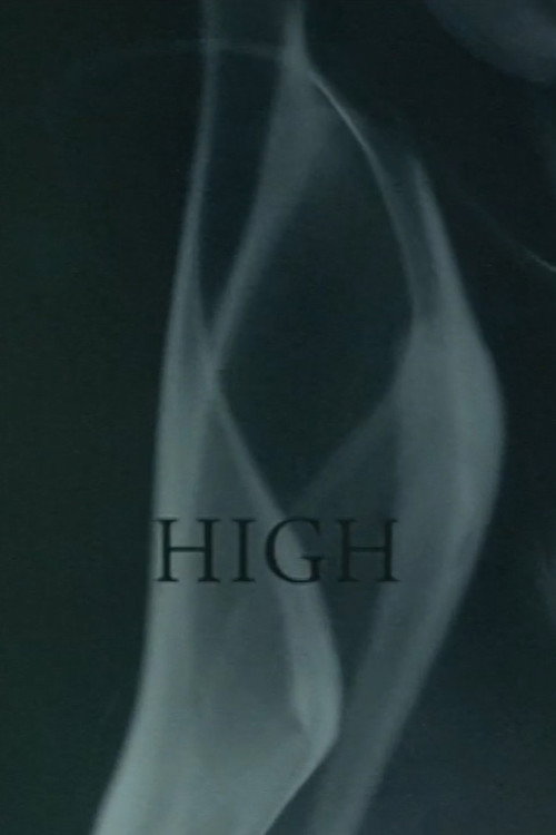 Movie poster for High (2009)