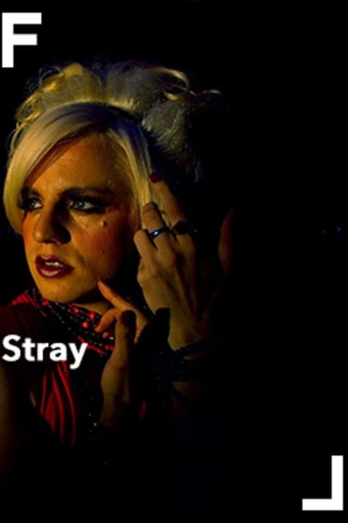 Movie poster for Stray (2007)