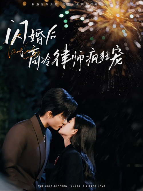闪婚后蒋律师卑微求爱 poster