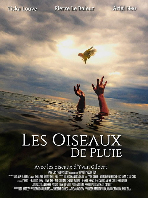 Movie poster for Les Oiseaux de pluie (2025)