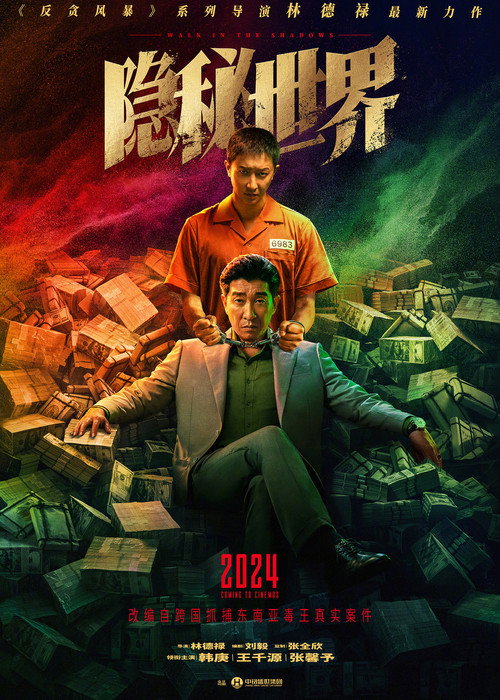 Movie poster for Walk in the Shadows
