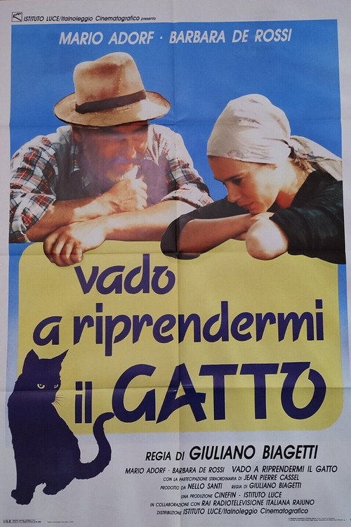 Movie poster for Vado a riprendermi il gatto (1989)