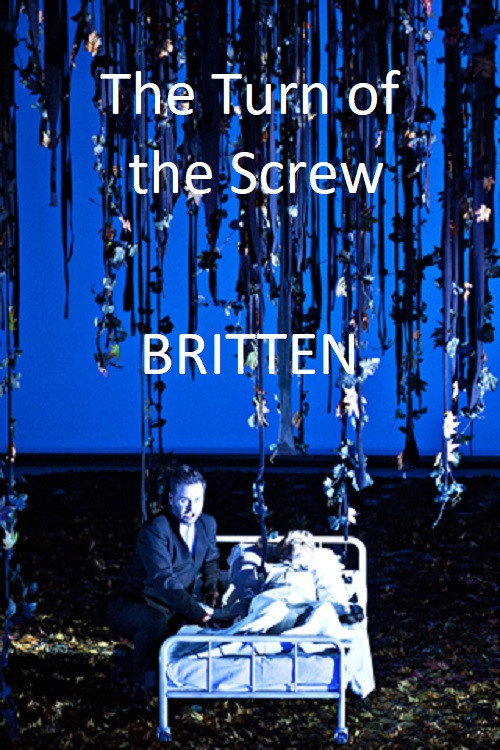 Movie poster for The Turn of the Screw (2014)