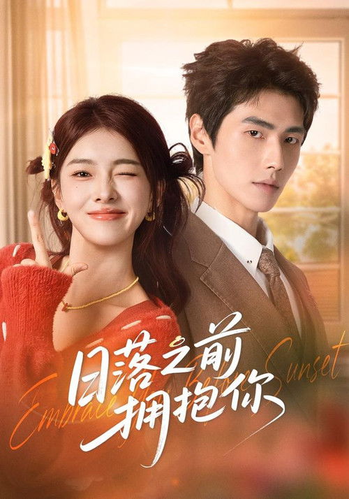 日落之前拥抱你 poster