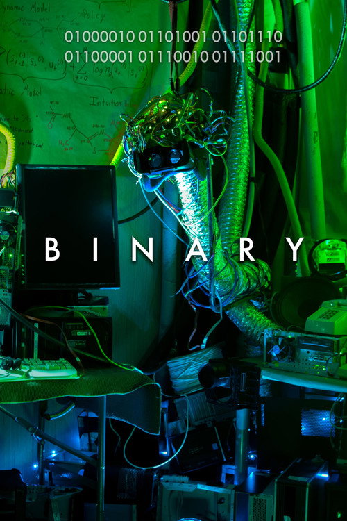 Movie poster for Binary (2019)