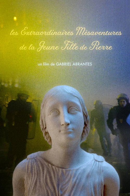 Movie poster for The Marvelous Misadventures of the Stone Lady (2019)