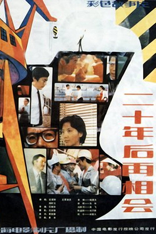Movie poster for Meeting 20 Years Later (1984)