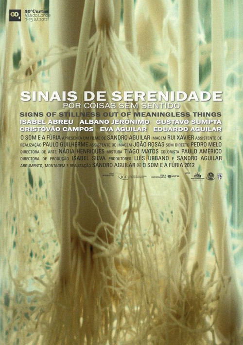 Movie poster for Signs of Stillness in Meaningless Things (2012)
