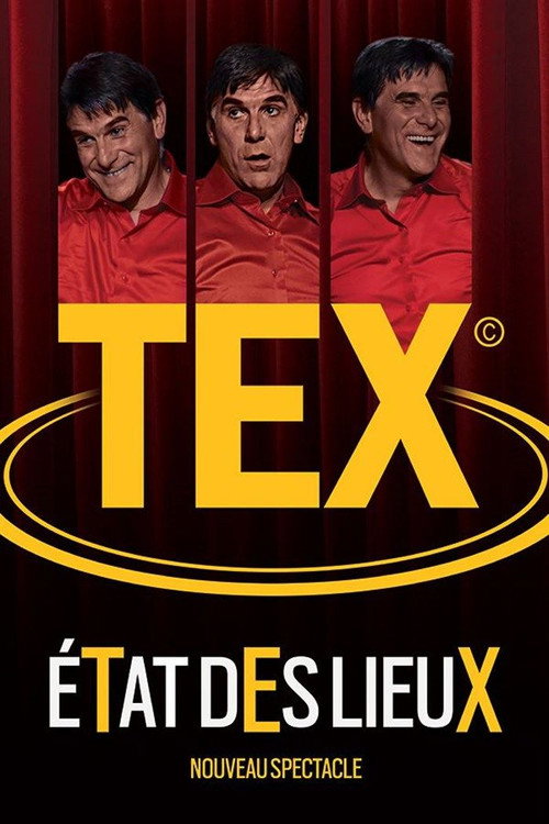 Movie poster for Tex - Etat des lieux (2017)