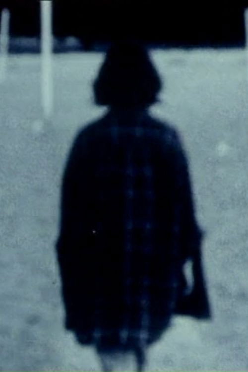 Movie poster for Echoed Silence (1998)