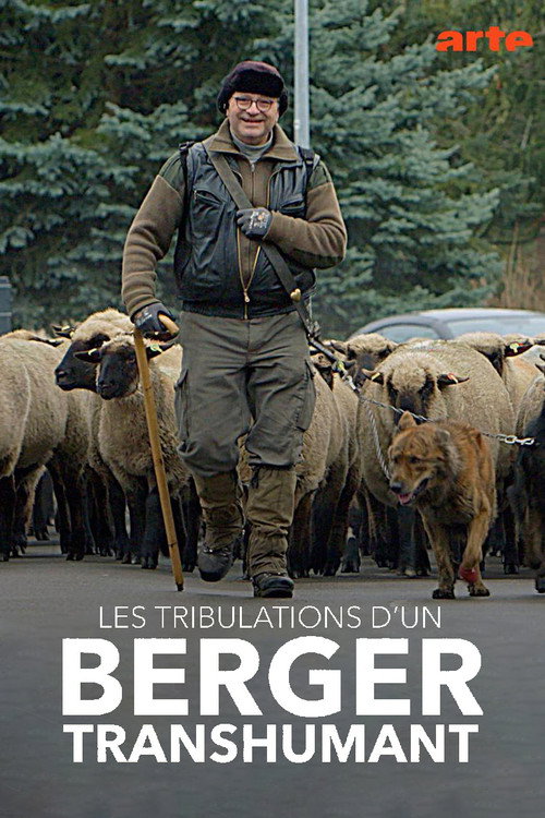 Movie poster for Les tribulations d'un berger transhumant (2021)