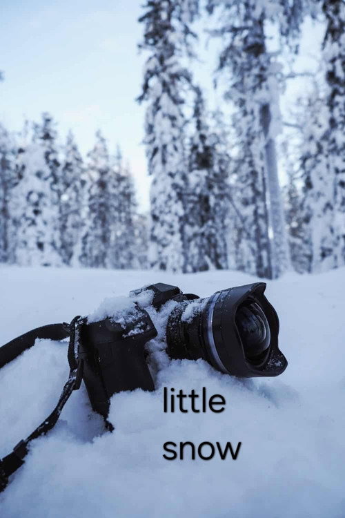 Movie poster for little snow (2026)