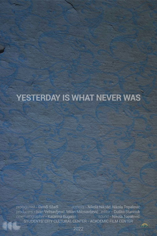 Movie poster for Yesterday Is What Never Was (2022)