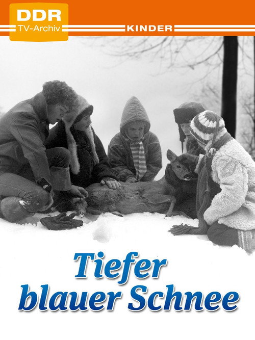 Movie poster for Deep Blue Snow (1981)