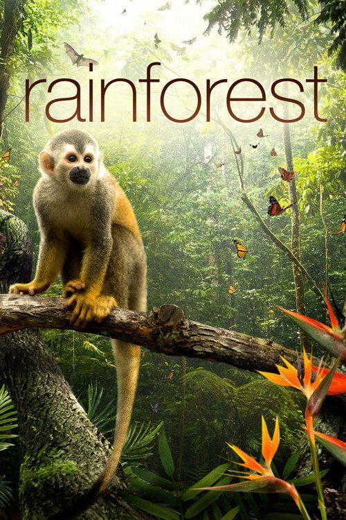 Movie poster for Secret Life of the Rainforest (2012)