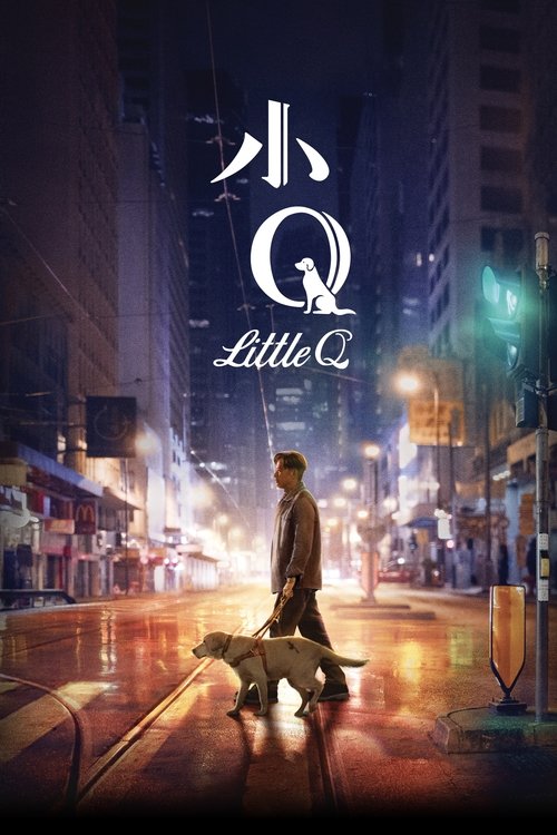 Movie poster for Little Q (2019)