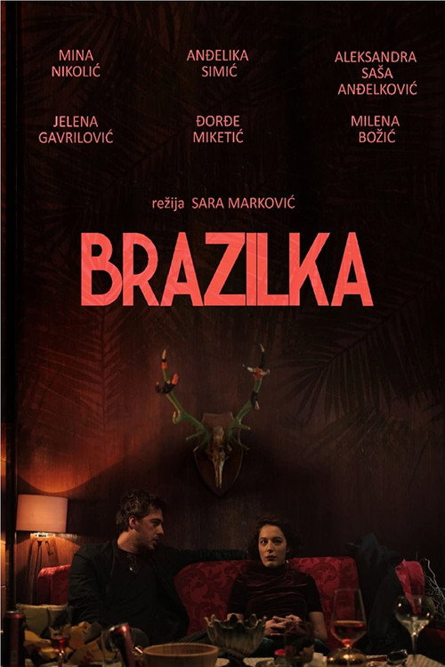 Movie poster for The Brazilian (2018)