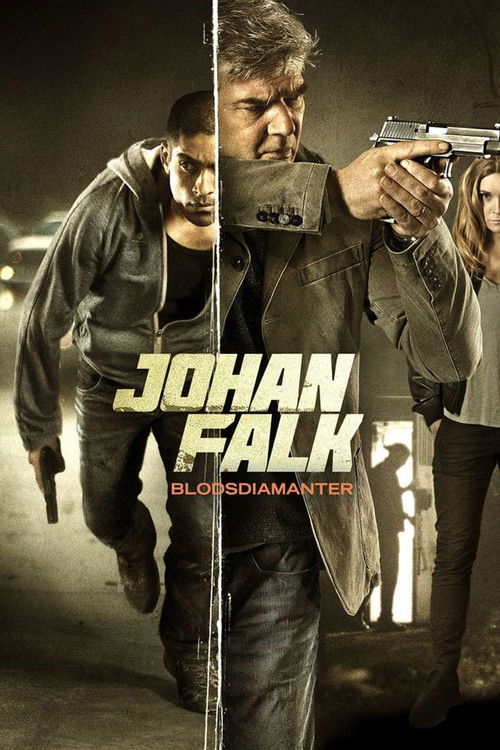 Movie poster for Johan Falk: Blood Diamonds (2015)