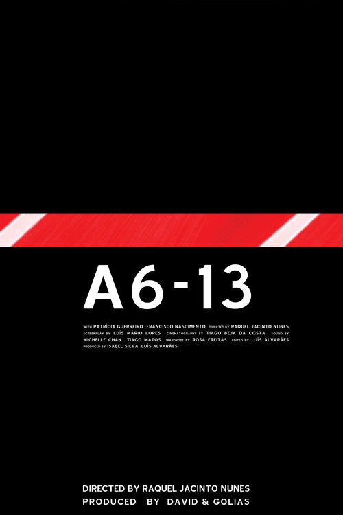 Movie poster for A6-13 (2005)