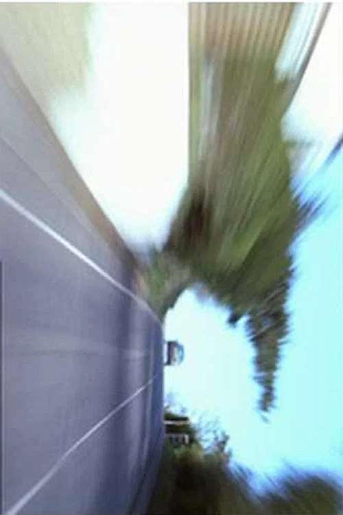 Movie poster for Civil Disobedience (2004)