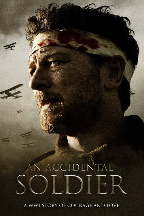 Movie poster for An Accidental Soldier (2013)