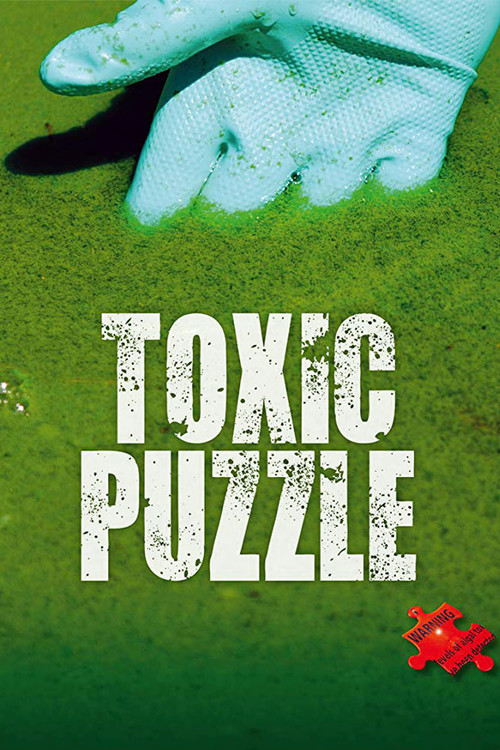 Movie poster for Toxic Puzzle (2017)