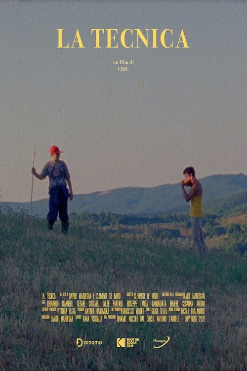 Movie poster for The Technique (2020)