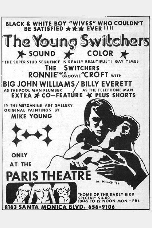 Movie poster for The Young Switchers (1973)