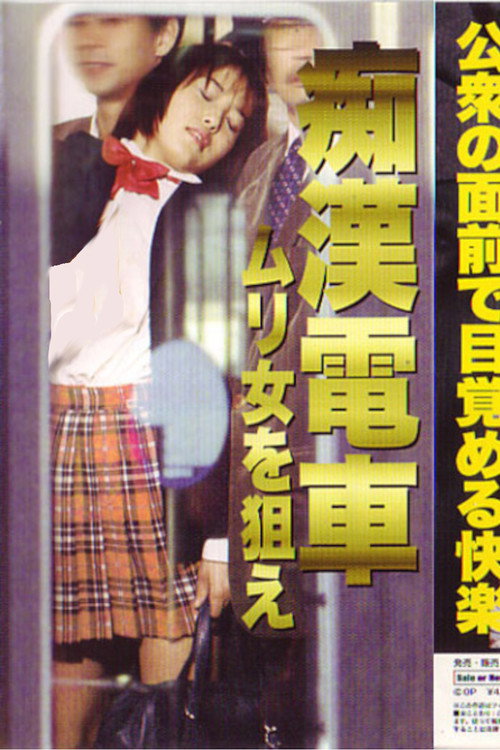 Movie poster for Groper Train: Target the Impossible Woman (1999)