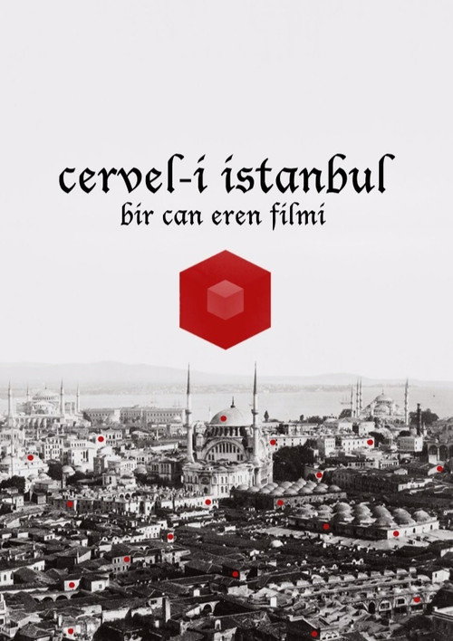 Movie poster for Cervel-i İstanbul (2013)