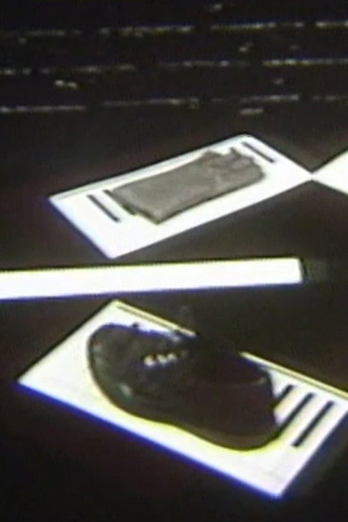 Movie poster for Piano/Music (1979)