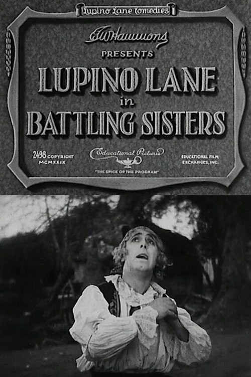 Movie poster for Battling Sisters (1929)