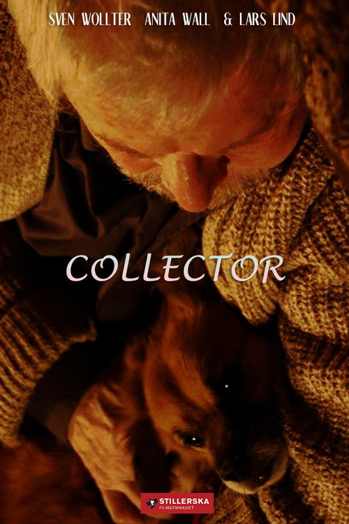 Movie poster for Samlaren (2012)