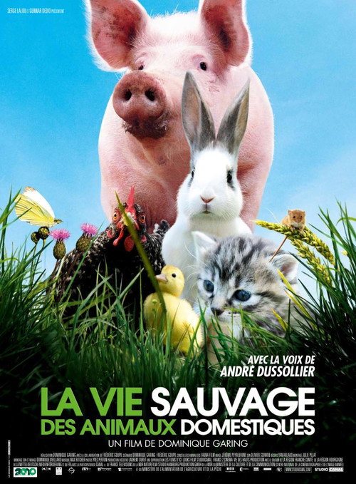 Movie poster for La vie sauvage des animaux domestiques (2010)