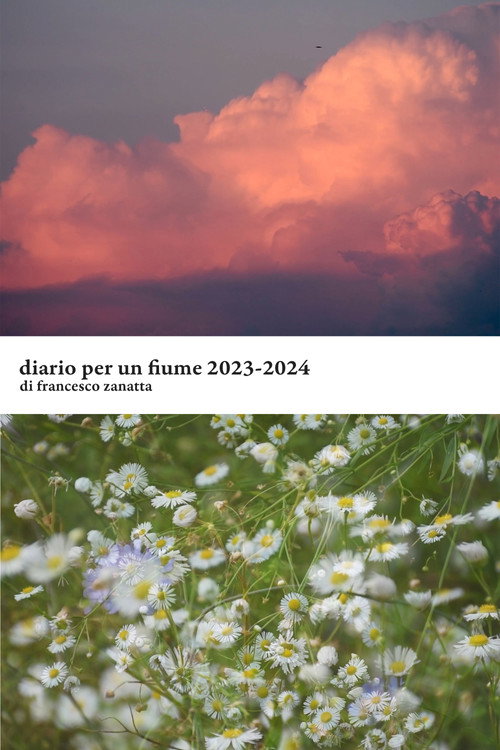 Movie poster for Diario per un fiume 2023-2024 (2024)