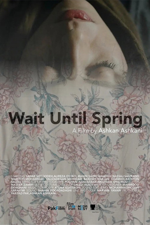 Movie poster for Wait Until Spring (2024)