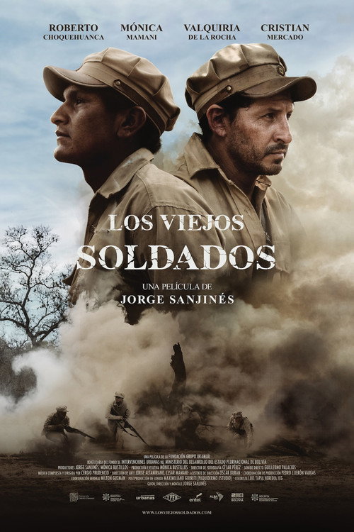 Movie poster for The Old Soldiers (2022)
