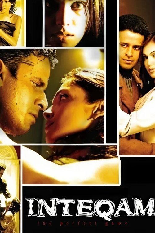 Movie poster for Inteqam: The Perfect Game (2004)