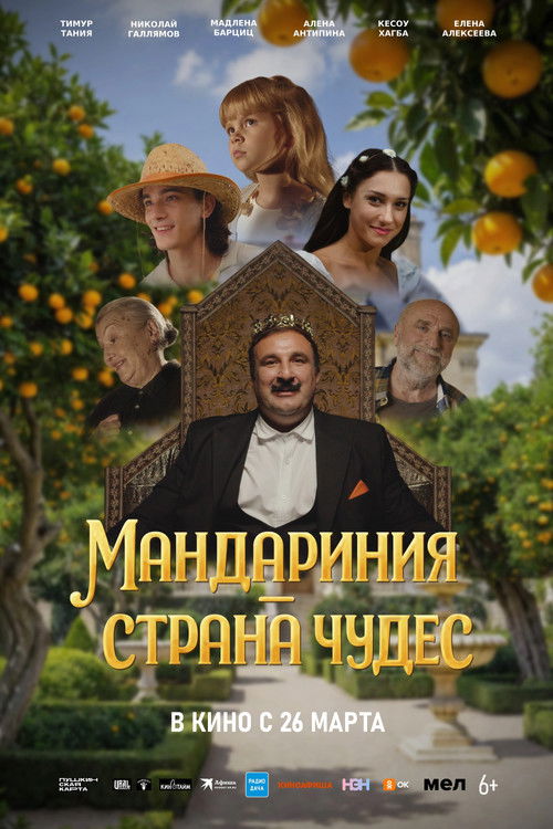 Мандариния – страна чудес poster