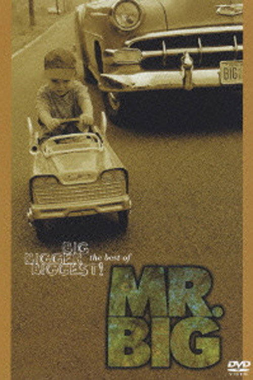 Movie poster for Big, Bigger, Biggest! The Best Of Mr. Big (2005)