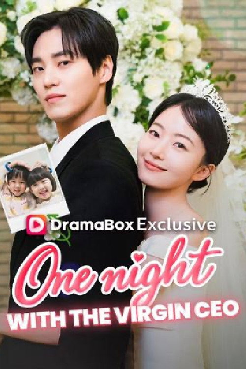 Series poster for One Night With the Virgin CEO (2026)