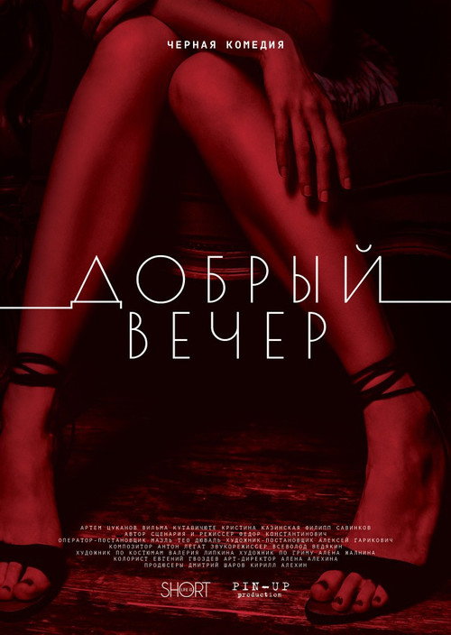 Movie poster for Good Evening (2018)