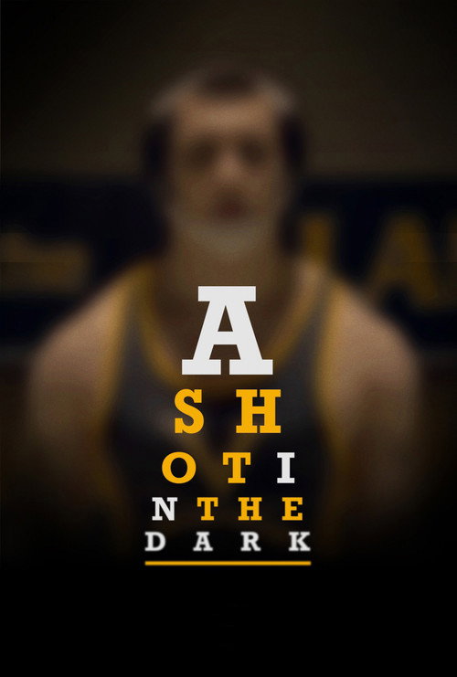 Movie poster for A Shot in the Dark (2017)